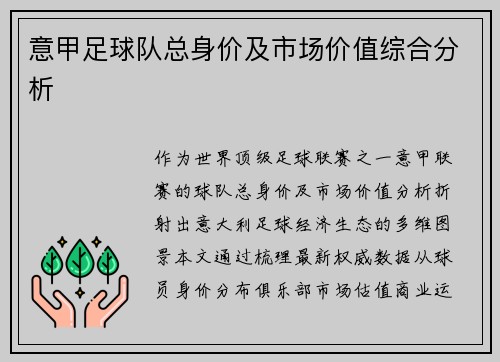 意甲足球队总身价及市场价值综合分析